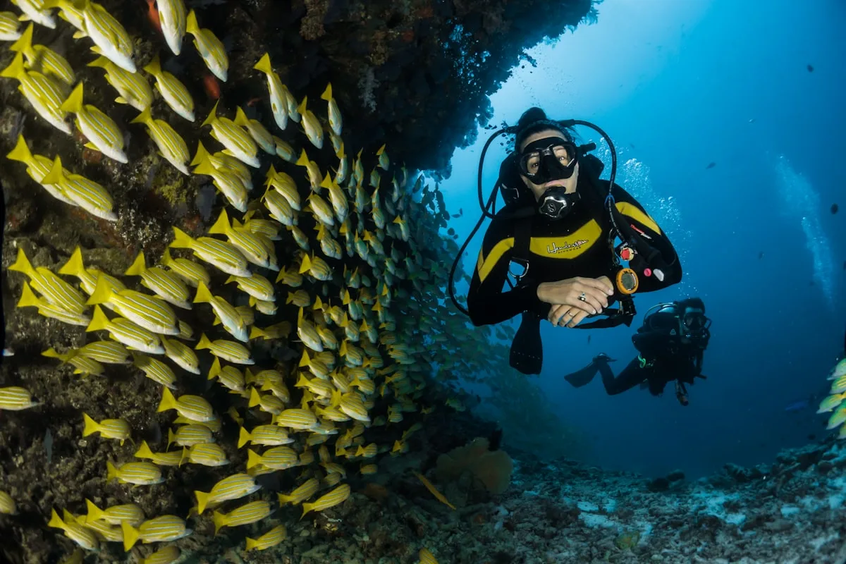 Goa Wildlife Sanctuaries — Nature Lover's Guide