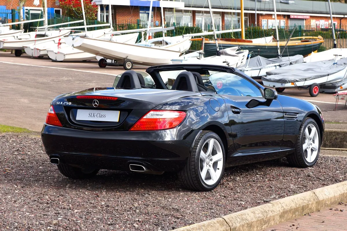 Pet Friendly Car Rental in Goa
