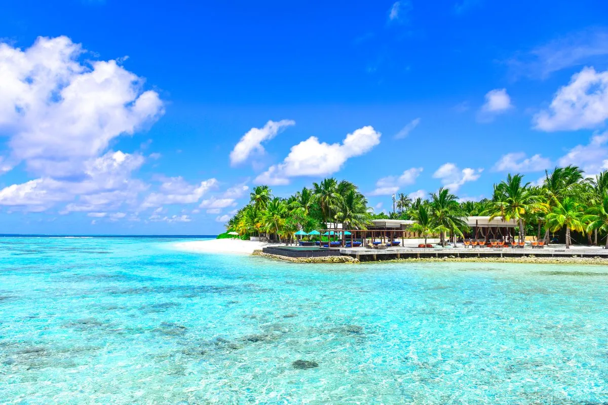 Car rental in Arambol, Goa