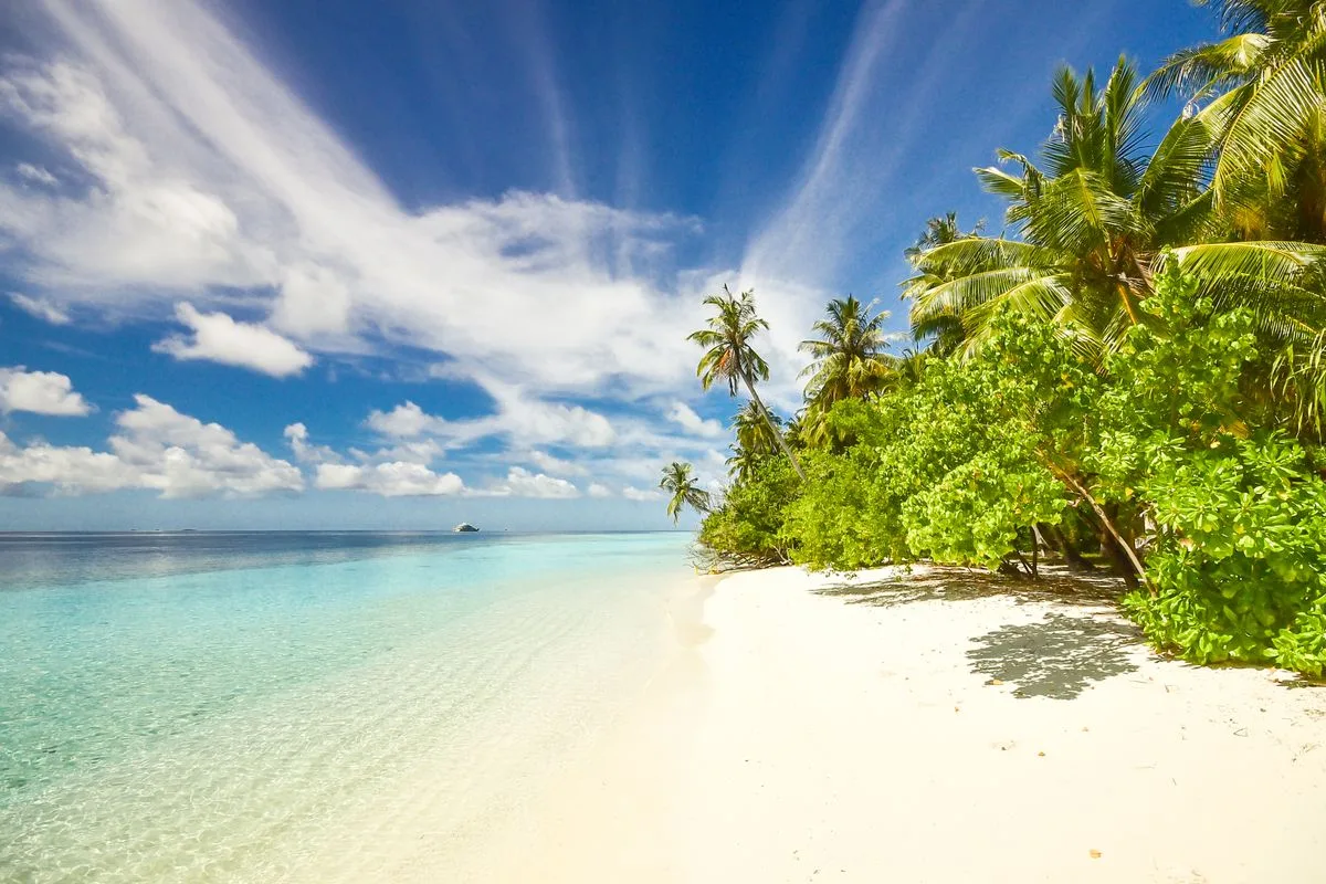 Car rental in Calangute, Goa